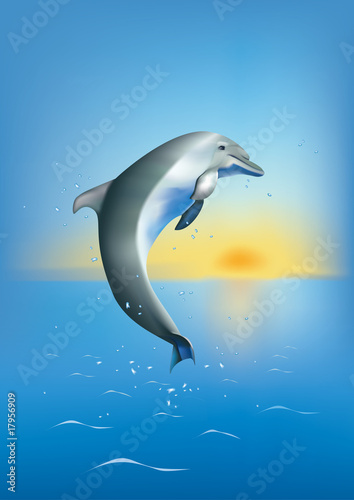Dolphin