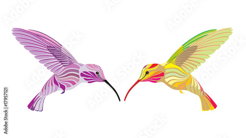 two hummingbird
