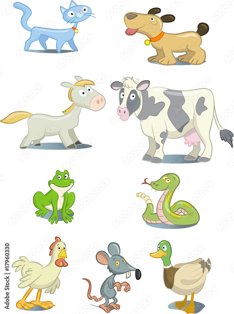 Animals Animals