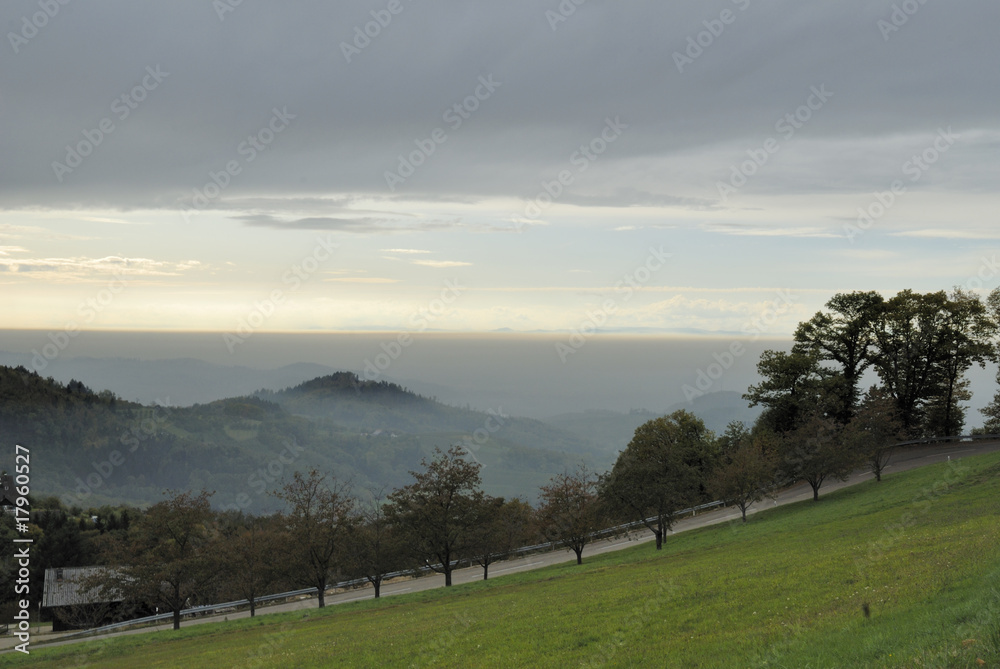 Im Schwarzwald 9 Im Schwarzwald 9