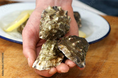 fresh raw organic oyster from the irish west coast