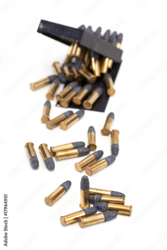 balles 22mm balles 22mm