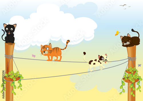 animals