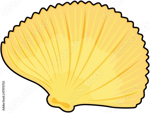 sea shell