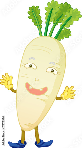 vegetable