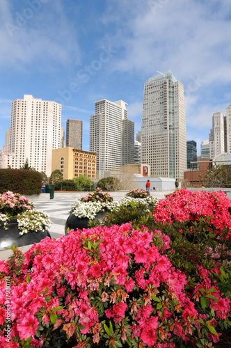 Photography Downtown San Francisco