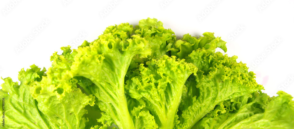 Fresh green salad isolated on white Fresh green salad isolated on white