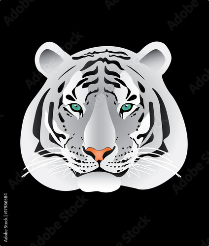 White tiger portrait illustration