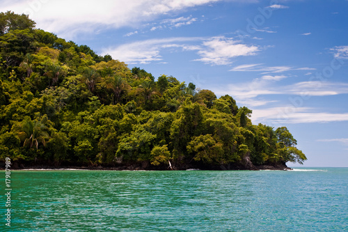 Rocky coastline and jungle near the sea