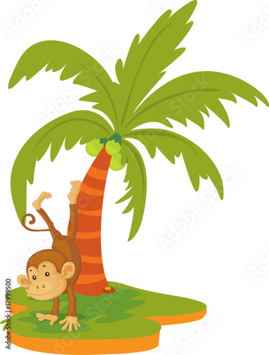 monkey