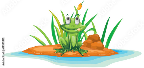 frog