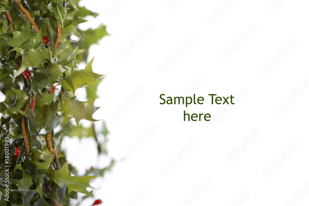Christmas border made of green holly , isolated on white