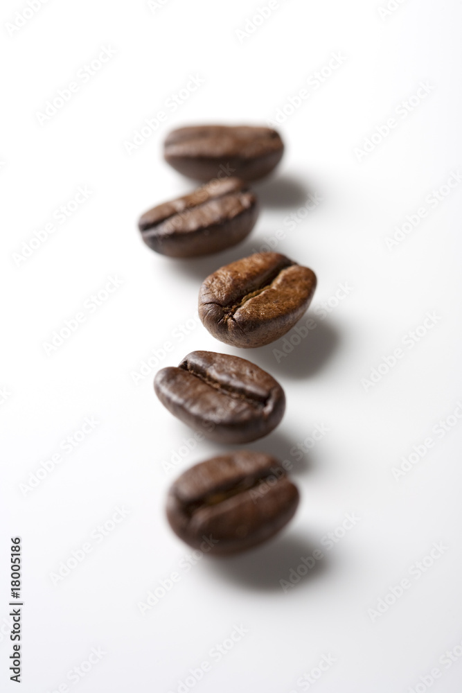コーヒー豆 コーヒー豆