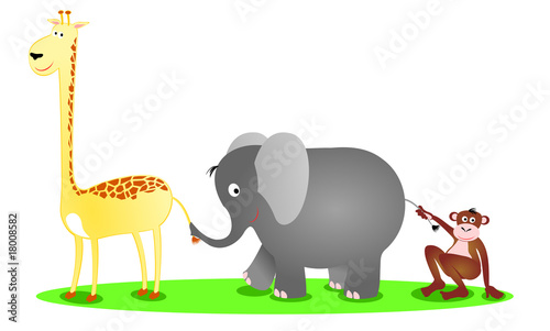 Giraffa, elefante e scimmia
