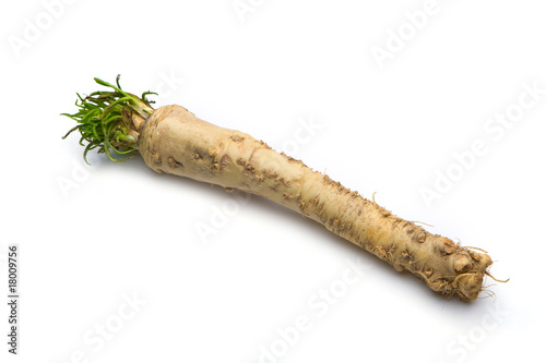 Valokuvatapetti horseradish