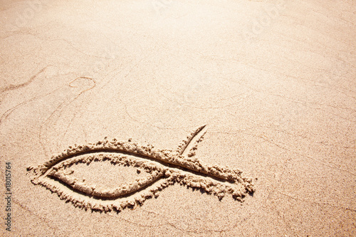 Photography Fish Sand Symbol