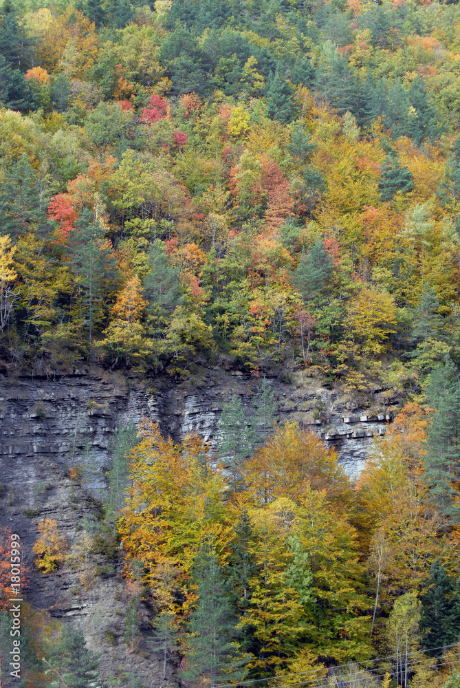 Fototapeta premium Paisaje de ordesa en otoño