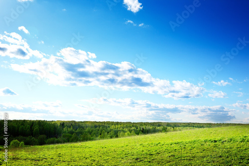 spring field of grass and perfect sky