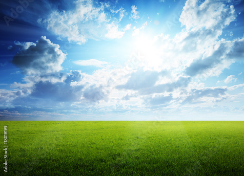 spring day and green field