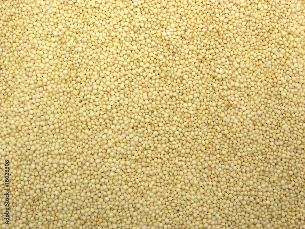 Amaranth als Hintergrundbild Amaranth als Hintergrundbild