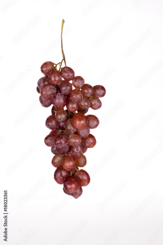 Bunch of red grapes isolated on white Bunch of red grapes isolated on white