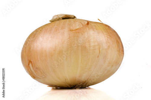 Vidalia sweet onion isolated on white photo