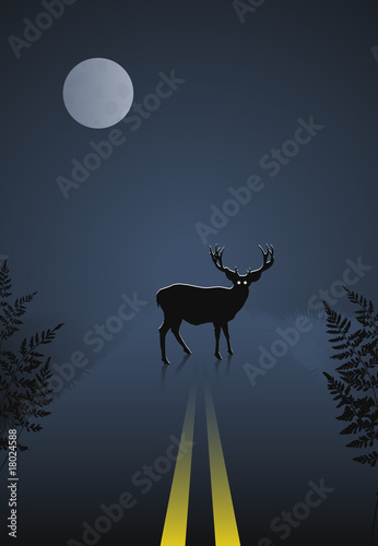 Deer crossing the road at night on sky and moon background © iconspro