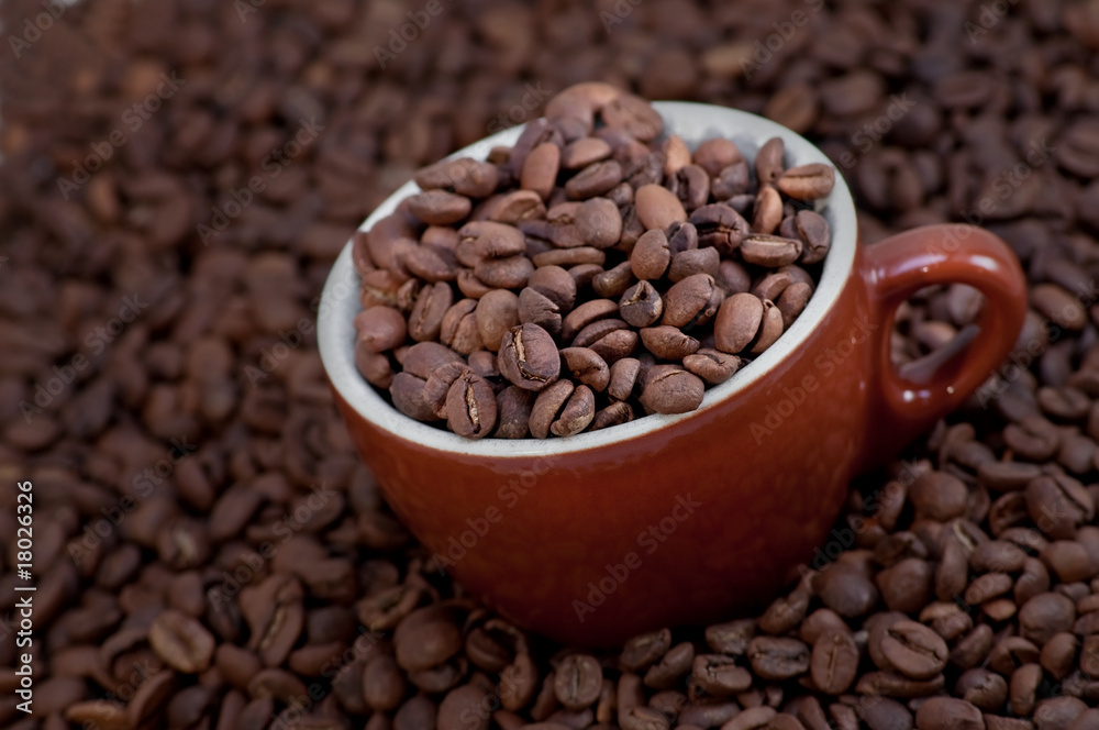 Fototapeta premium Coffee