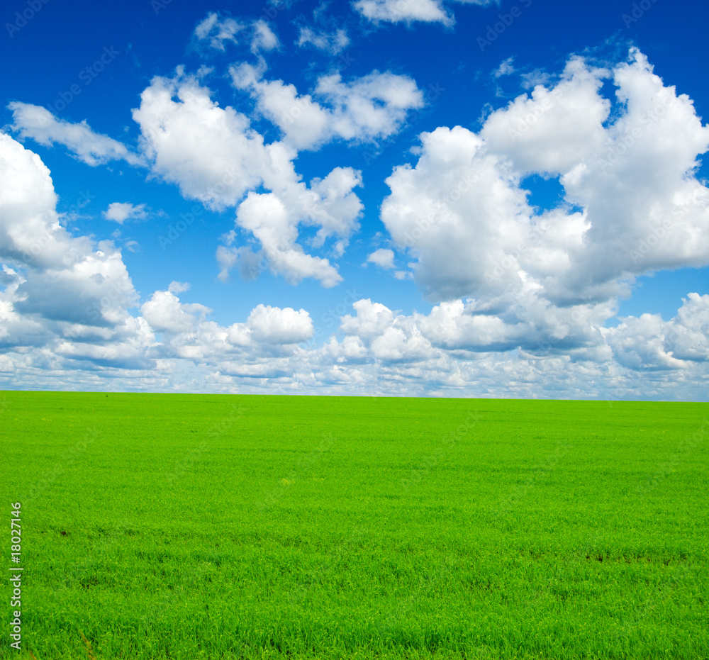 summer landscape summer landscape