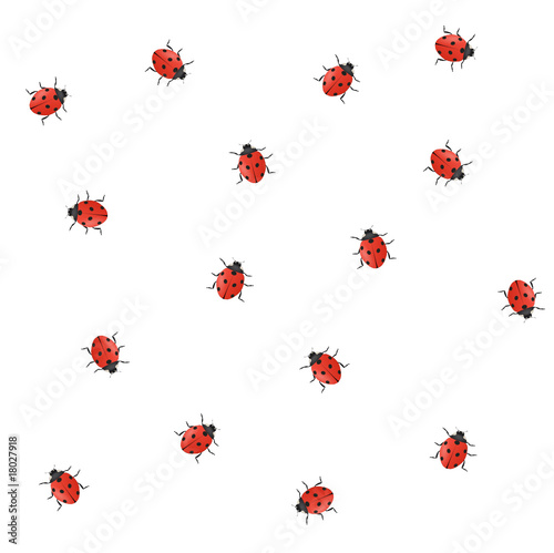 Coccinelles (motif sans raccord)