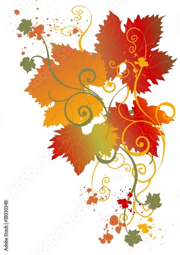 Weinblätter mit Herbstfärbung