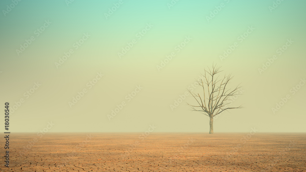 A lonely dead tree in a desert A lonely dead tree in a desert