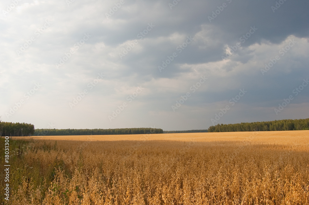 Rural landscape Rural landscape