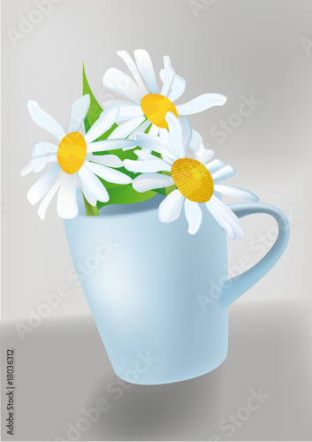 big white chamomile in a cup with water