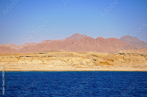 Sinai Coast