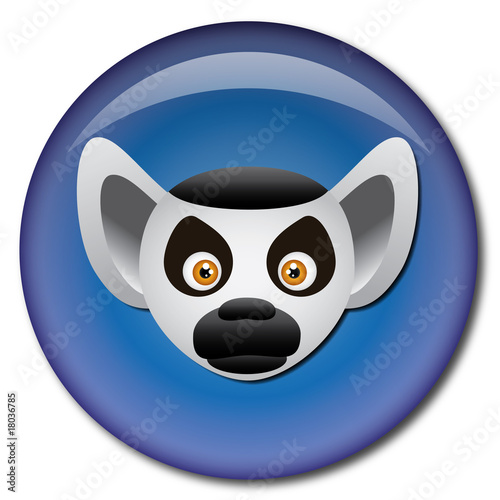 Chapa cabeza de lemur