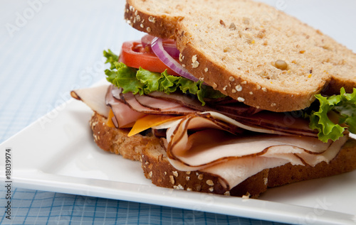 Turkey sandwich on whole grain bread
