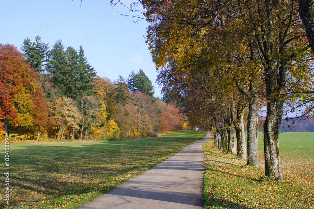 Herbstweg