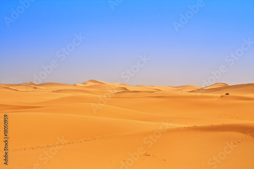 wide view of sand dunes