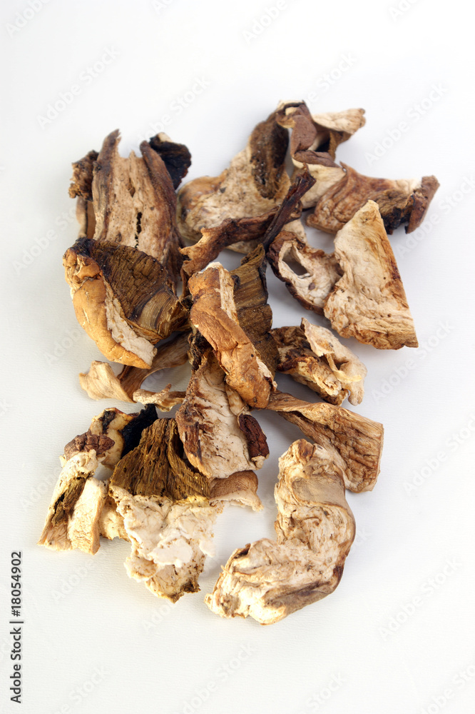 dried wild organic porcini mushroom on white background dried wild organic porcini mushroom on white background