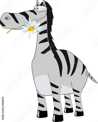 zebra and a chamomile