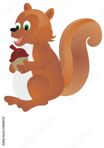 squirrel
