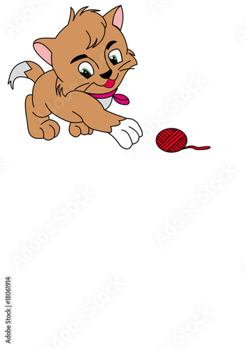 cat
