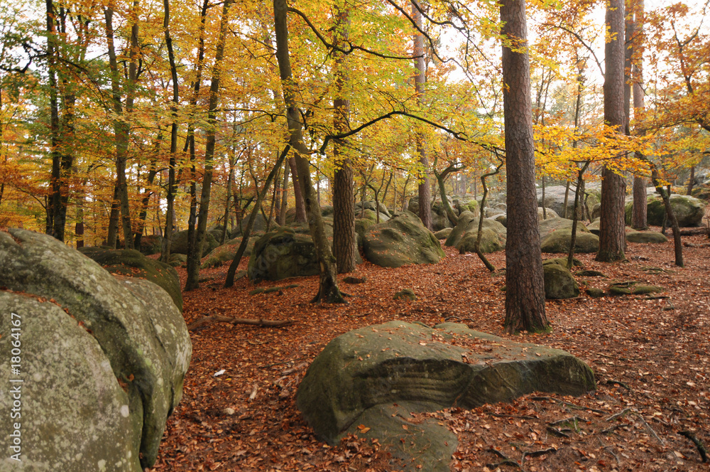 fall season