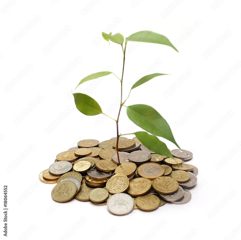 Money concept Money concept