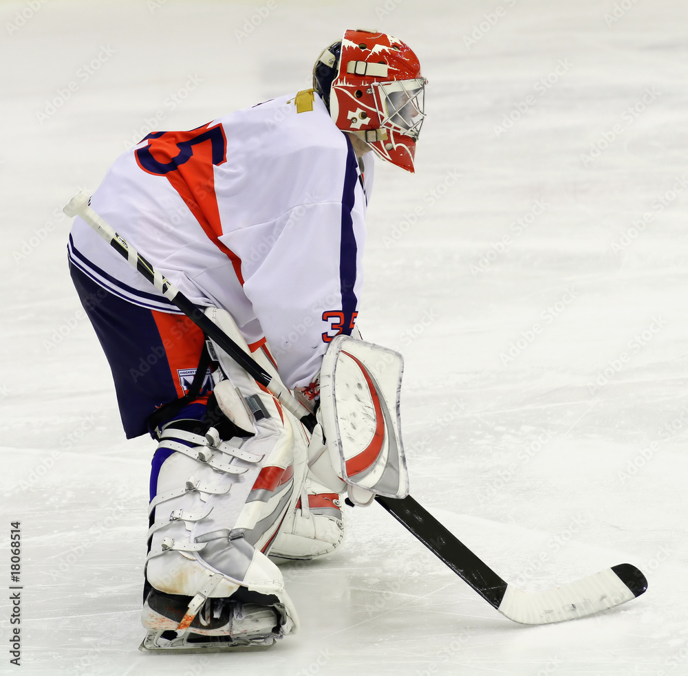 Naklejka premium hockey goalie