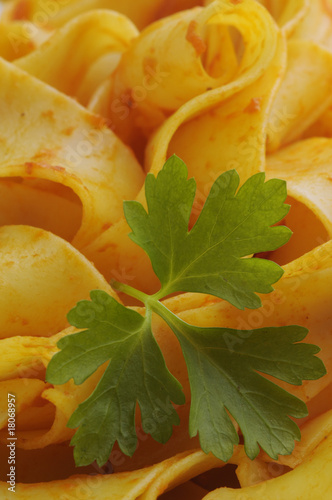 Pappardelle al sugo photo