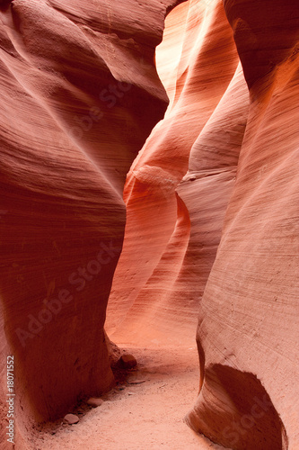 The Walls of Lower Antelope Canyon