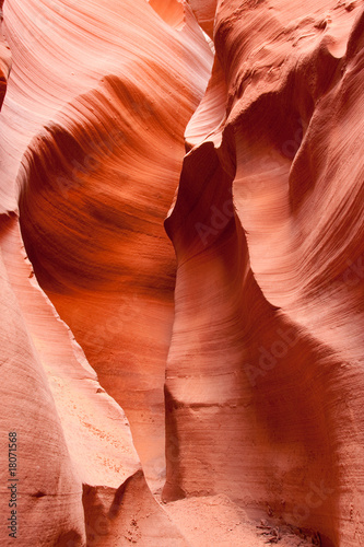 The Walls of Lower Antelope Canyon