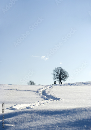 Paesaggio invernale 3